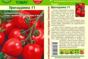 Сорт томата «примадонна f1»: описание, характеристика, посев на рассаду, подкормка, урожайность, фото, видео и самые распространенные болезни томатов