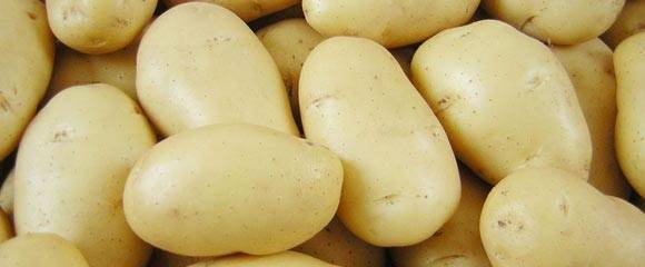 11 способов посадить картофель и получить высокий урожай