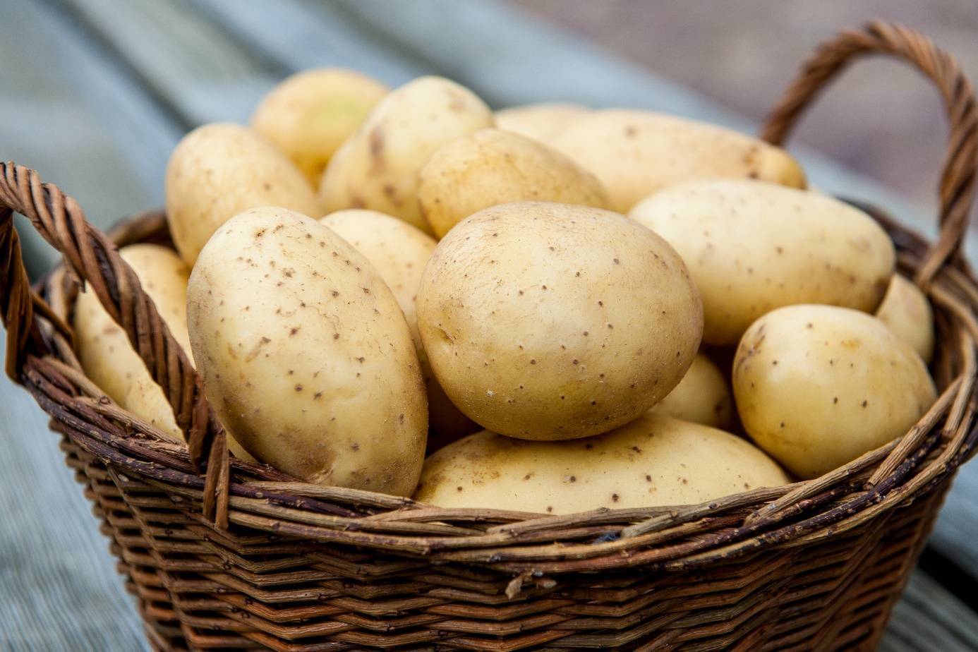 Пошаговая инструкция: как вырастить картофель из семян в домашних условиях