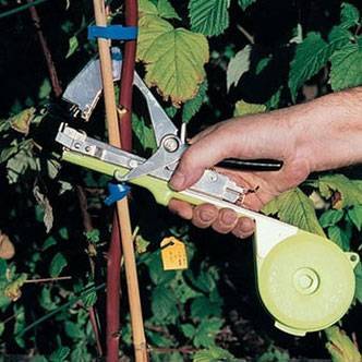 Тапенер для подвязки растений: выбираем садовый степлер для подвязки винограда и помидоров, устройство инструмента