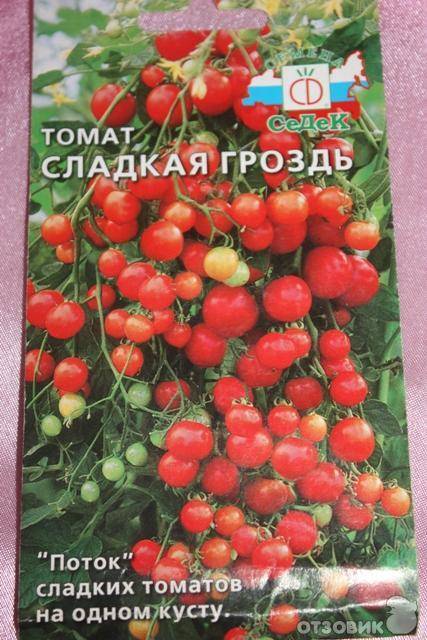 О томате Сладкая гроздь: описание сорта, характеристики помидоров, посев
