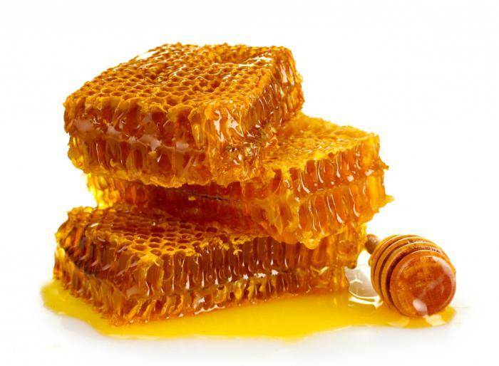 Вода с медом натощак: польза и вред для организма человека