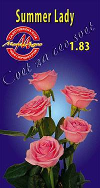 Каталог роз. продажа саженцев садовых роз.