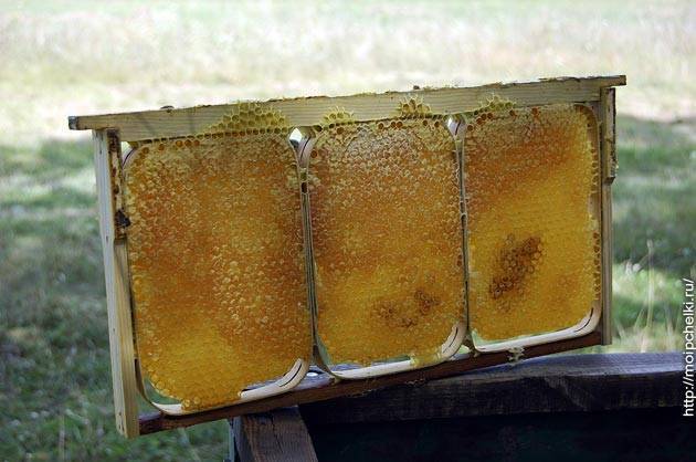 Сколько весит рамка с медом