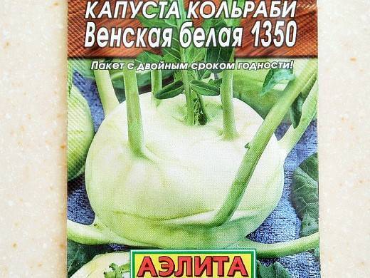 Капуста кольраби: фото, выращивание и уход в открытом грунте