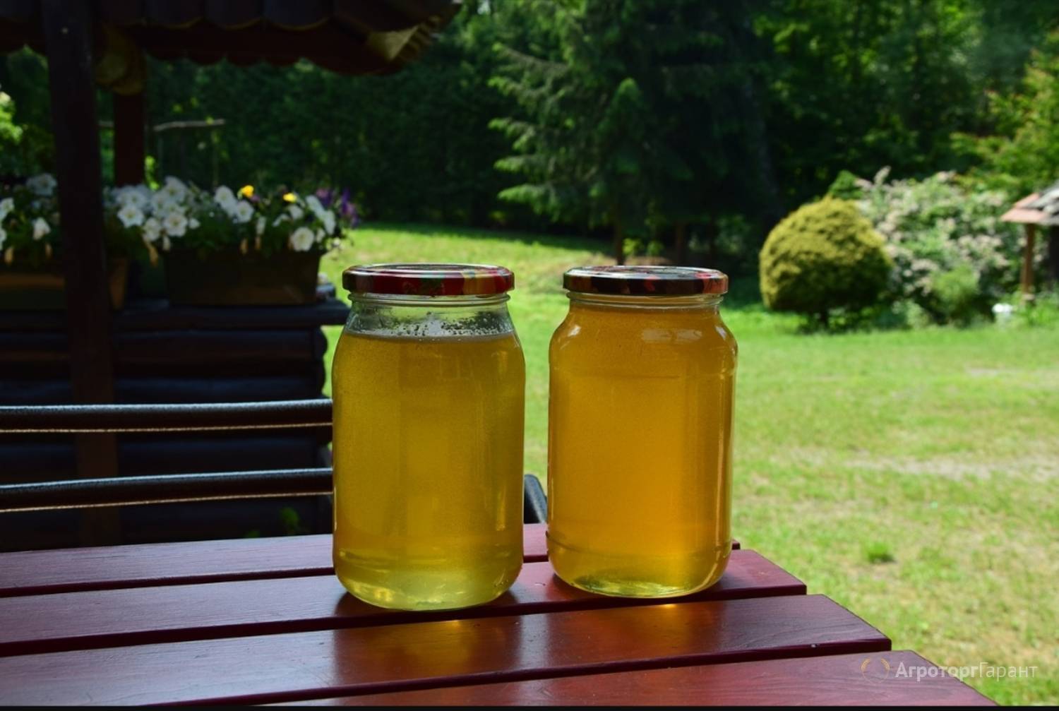 Мёд — полезные свойства, состав, виды и противопоказания