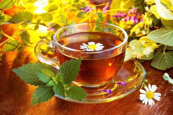 Магические и лечебные травяные чаи. 10 старинных рецептов