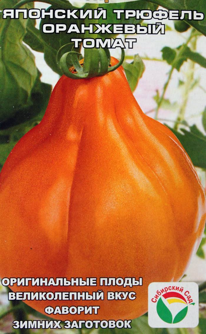 Томат японский трюфель оранжевый: описание сорта помидора и советы по выращиванию
