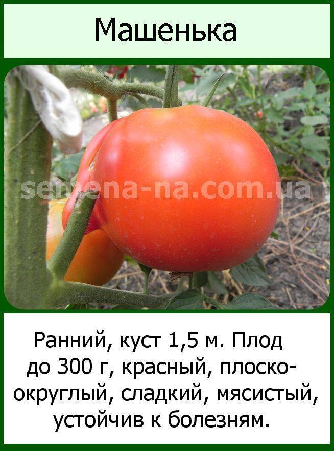 Томат большая мамочка: отзывы, фото, урожайность, описание и характеристика | tomatland.ru