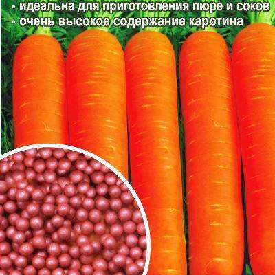 Морковь детская сладость описание сорта