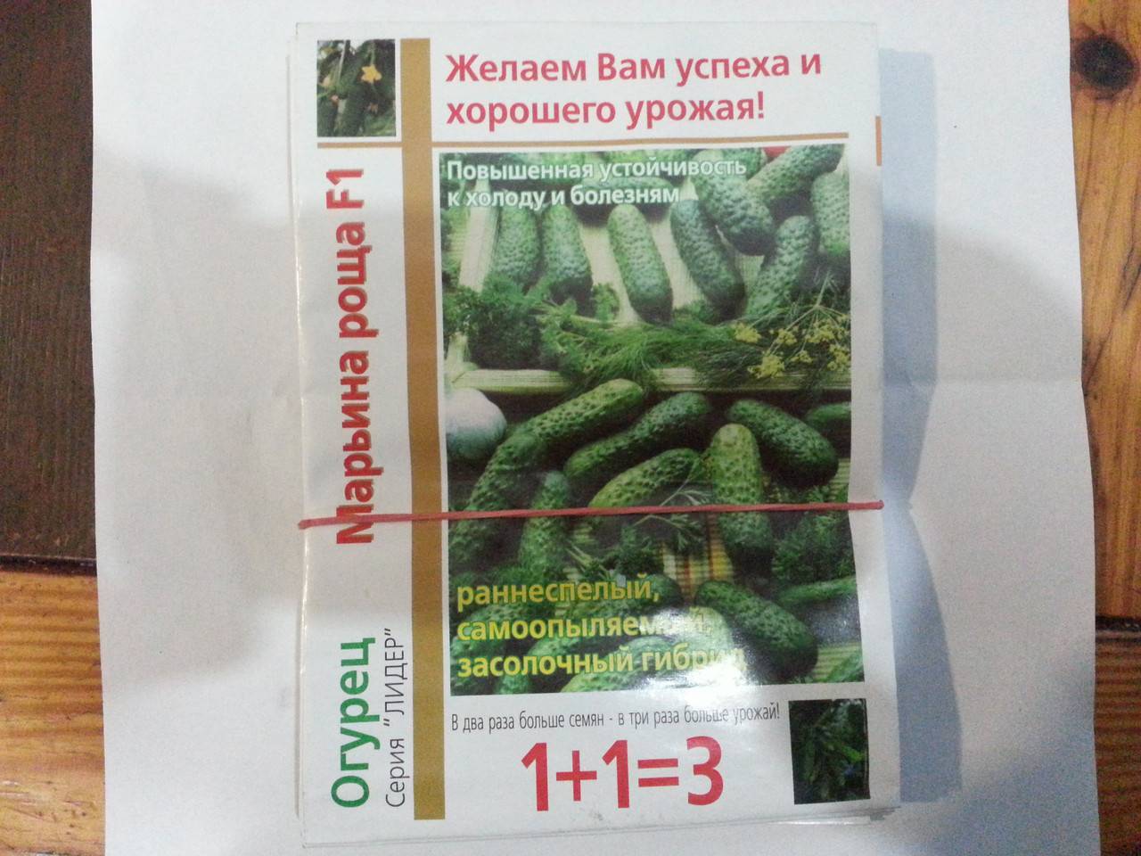 Выращивание огурцов шоша f1, описание сорта и отзывы садоводов