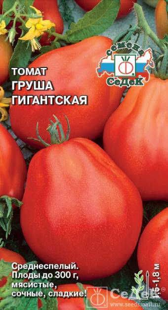 Томат груша черная