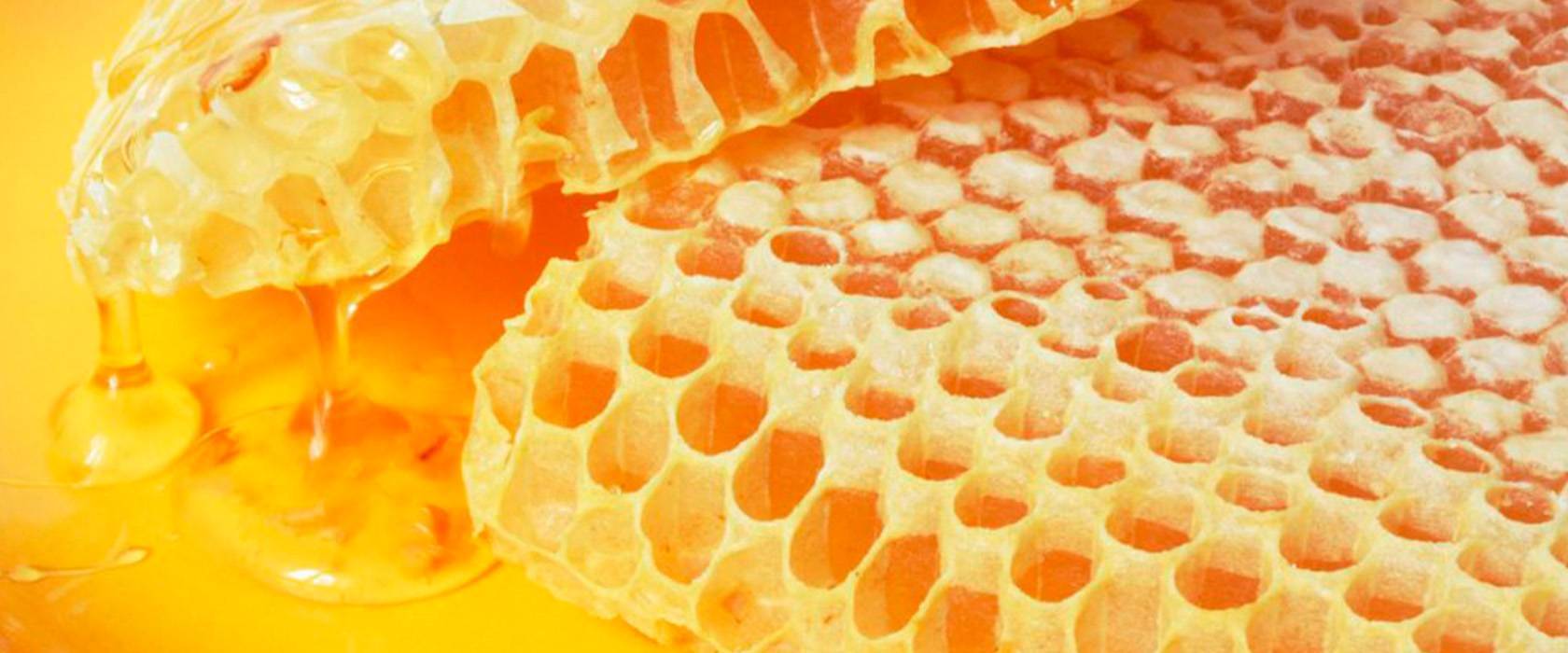 Что такое забрус пчелиный: лечебные свойства, чем полезен забрусовый мед