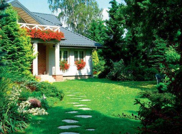 Рулонный или сеяный газон предпочесть, и какие травы лучше выбрать?