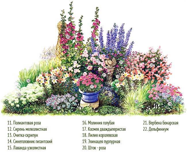 Клумбы из многолетников (98 фото): красивые цветники своими руками на даче, схемы посадки растений непрерывного цветения