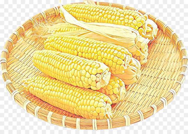 Выращивание кукурузы в сибири и на урале. когда садить на рассаду и как правильно ухаживать?