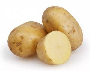 Картофель ласунок: описание и характеристика, отзывы