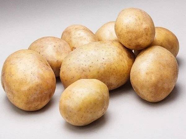 Картофель «скарб»: описание сорта, фото и отзывы