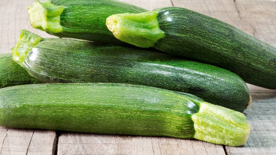 Как растут кабачки и как за ними ухаживать — секреты хорошего урожая
