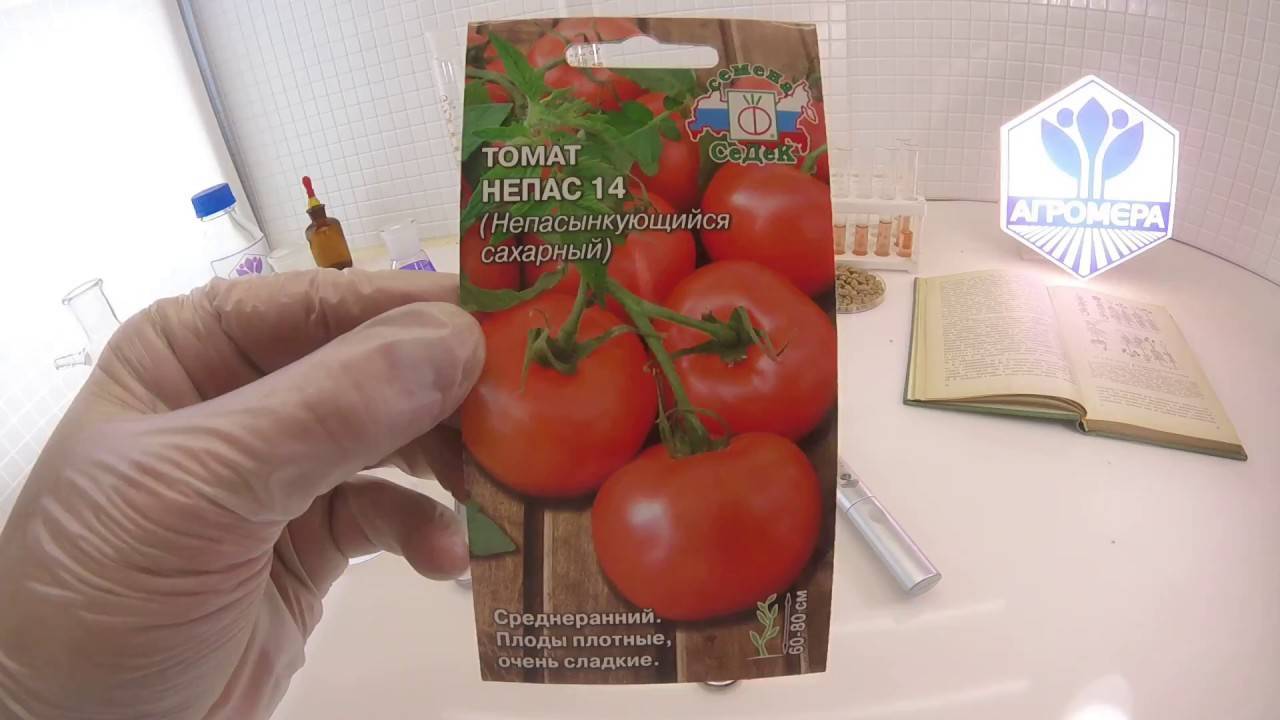 Какие бывают томаты: классификация видов, групп и сортов