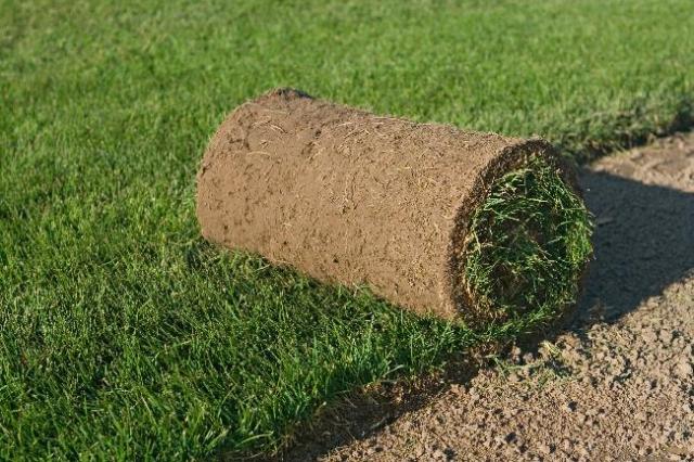Технология укладки рулонного газон: пошаговая инструкция