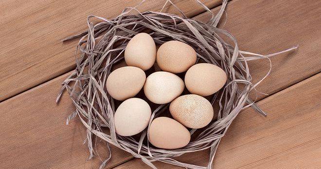 Яйца цесарки: их польза и вред, калорийность и остальные свойства