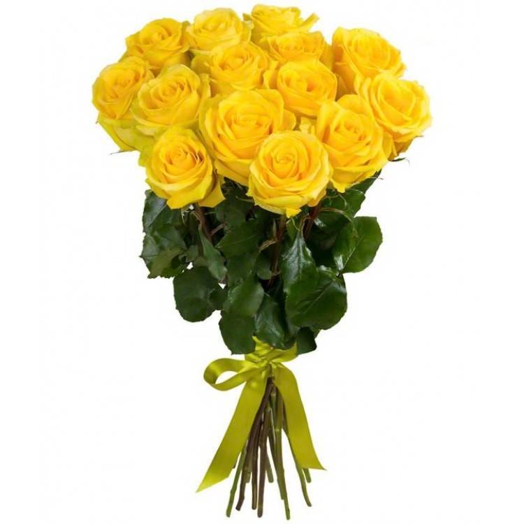 Желтые розы (33 фото): лучшие сорта желтых и красно-желтых роз с описанием. особенности роз мичурина «мать желтых» и других
