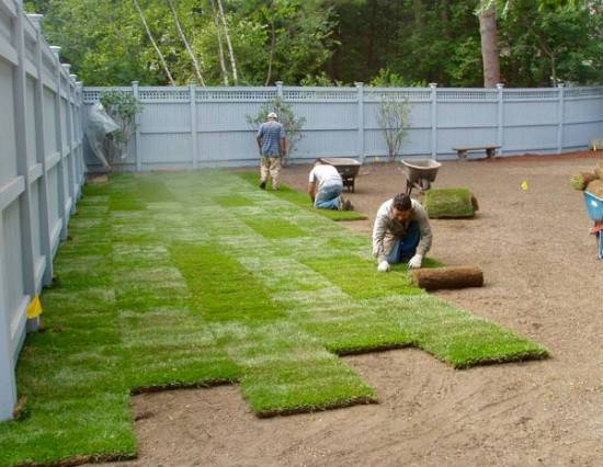 Как правильно уложить искусственный газон?