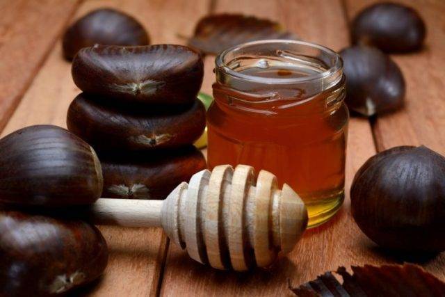 Каштановый мед: польза и вред для здоровья