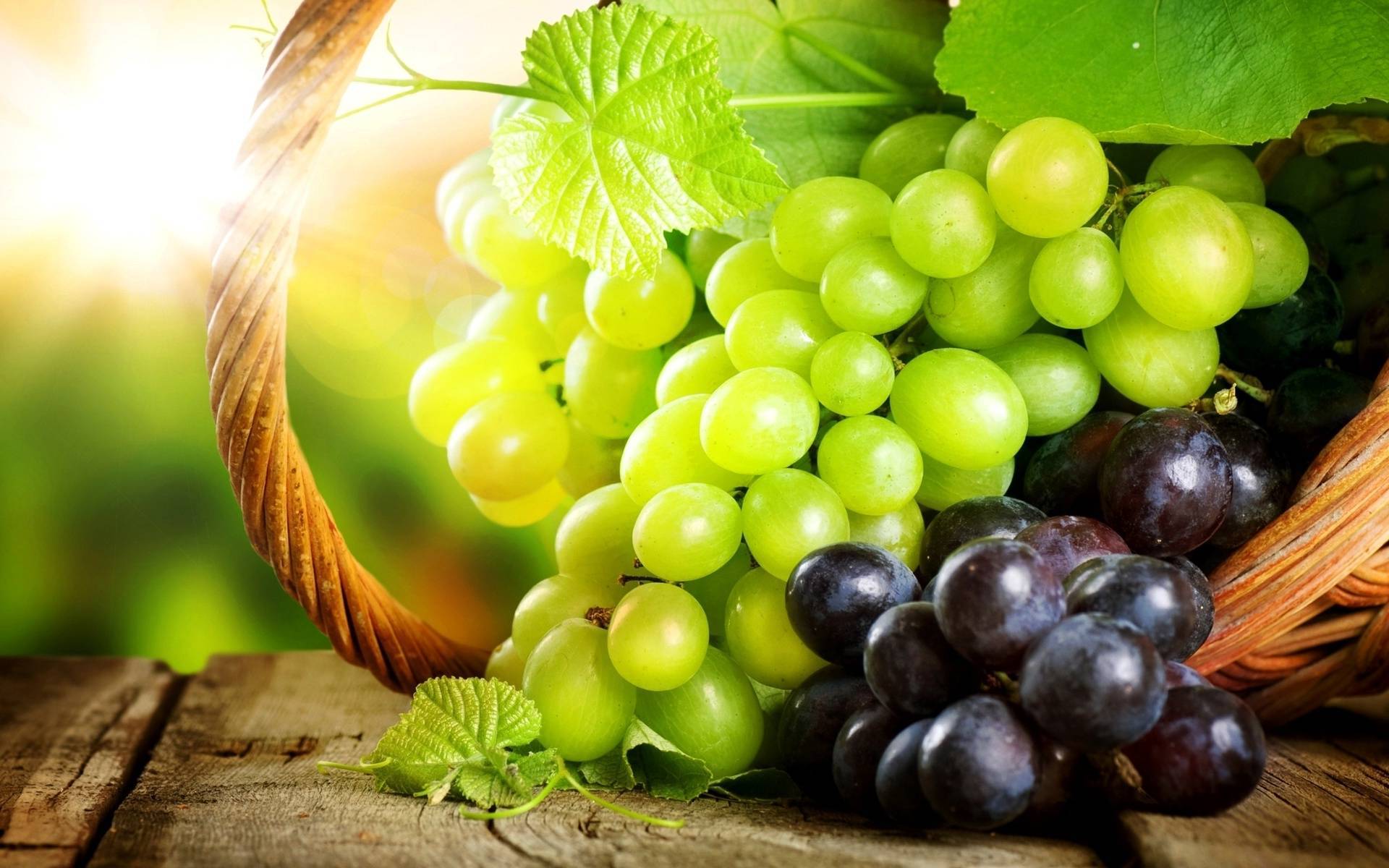 Подкормка винограда корневая и внекорневая — чем и как удобрять?