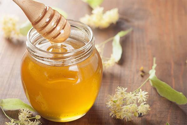Липовый мед: польза и вред для здоровья