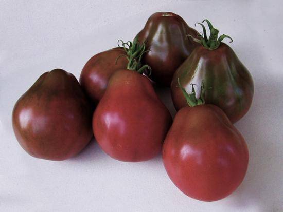 Томат японский трюфель оранжевый: описание сорта помидора и советы по выращиванию