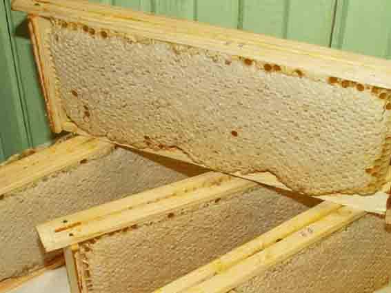 Как хранить мед в домашних условиях (в квартире): температура, влажность