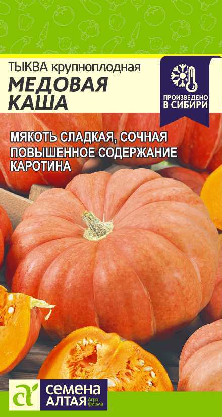 Тыква медовая - агротехника выращивания