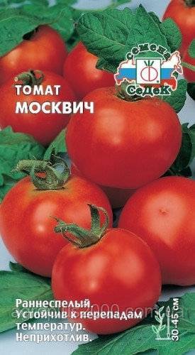 Томат москвич