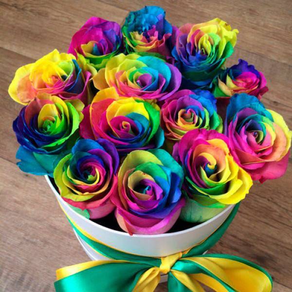 Радужные розе: как получить разноцветный цветок в домашних условиях