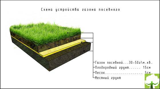 Рулонный газон - технология укладки: как уложить, как осуществлять подготовку земли и постелить, устройство участка
