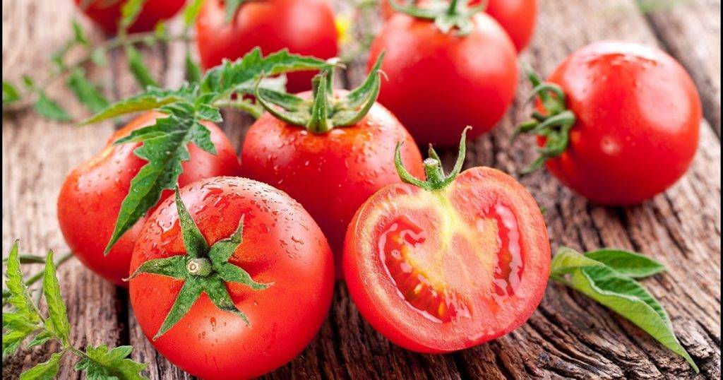 Посадка рассады помидоров в 2020 году: благоприятные дни по лунному календарю