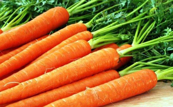 Сроки для моркови: когда можно сеять семена в открытый грунт?