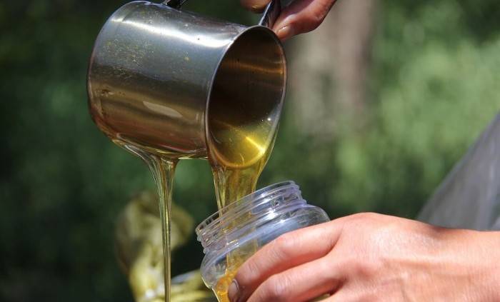 Можно ли хранить мед в пластиковой бутылке. pravilnohranuedy.ru
