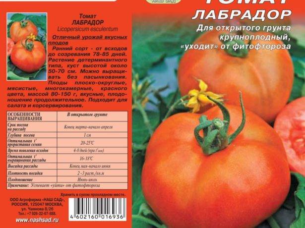 Томат «лабрадор» - томат есть, данных нет - общая информация - 2020