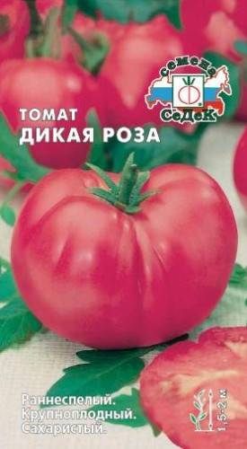 Сорт томата «дикая роза»: описание, характеристика, посев на рассаду, подкормка, урожайность, фото, видео и самые распространенные болезни томатов