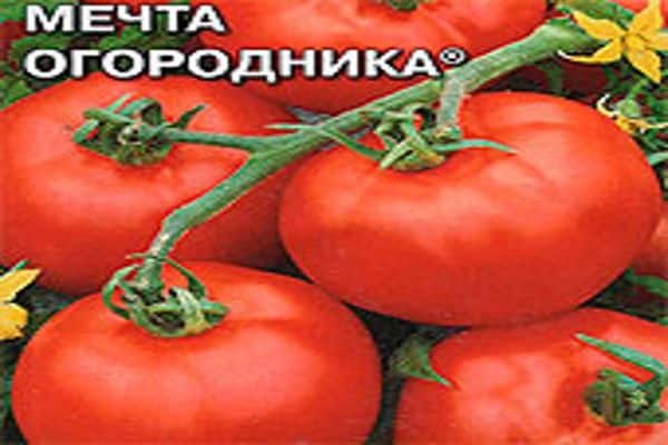 О томате Мечта огородника: описание сорта, характеристики помидоров, посев