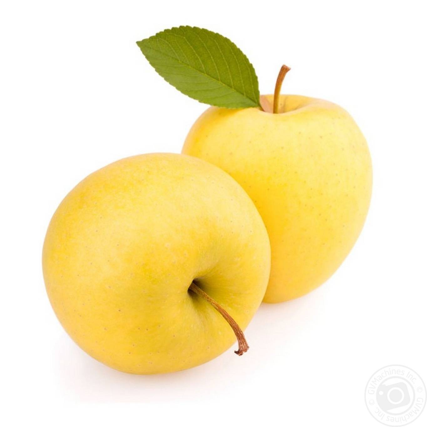 Настоящее золотое искушение — яблоки голден делишес