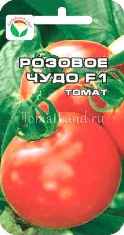 Томат сибирское чудо: отзывы, фото, урожайность, описание и характеристика | tomatland.ru