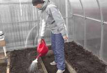 Медный купорос для обработки почвы - как разводить, когда вносить