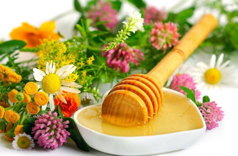 Мёд цветочный - описание, состав, калорийность и пищевая ценность - patee. рецепты