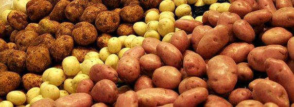 Хранение картофеля: условия и способы, технология закладки