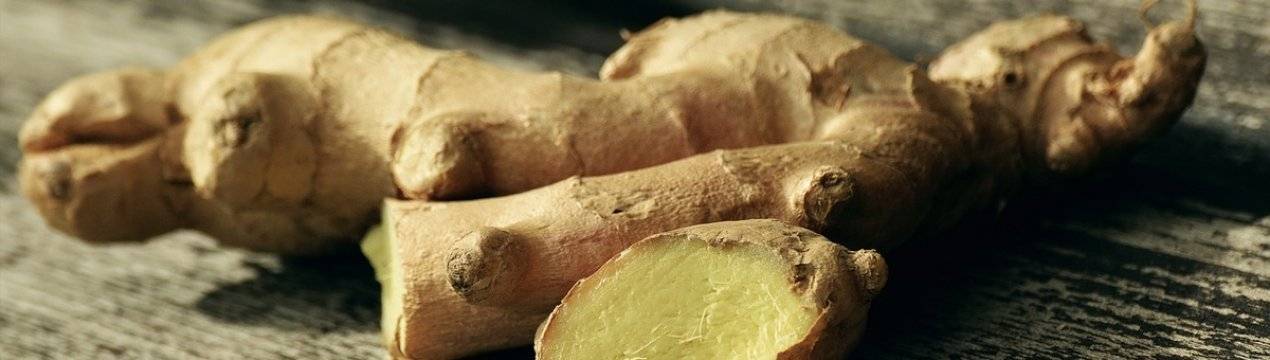 5 почвенных вредителей, которые лишают вас урожая картофеля и корнеплодов