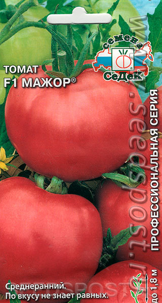 Томат "взрыв": фото и описание сорта, характеристики и урожайность плодов-помидоров, рекомендации по выращиванию